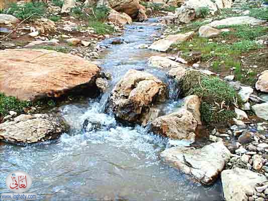 blodan-1