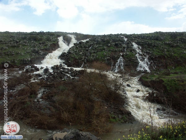 flow-in-golan