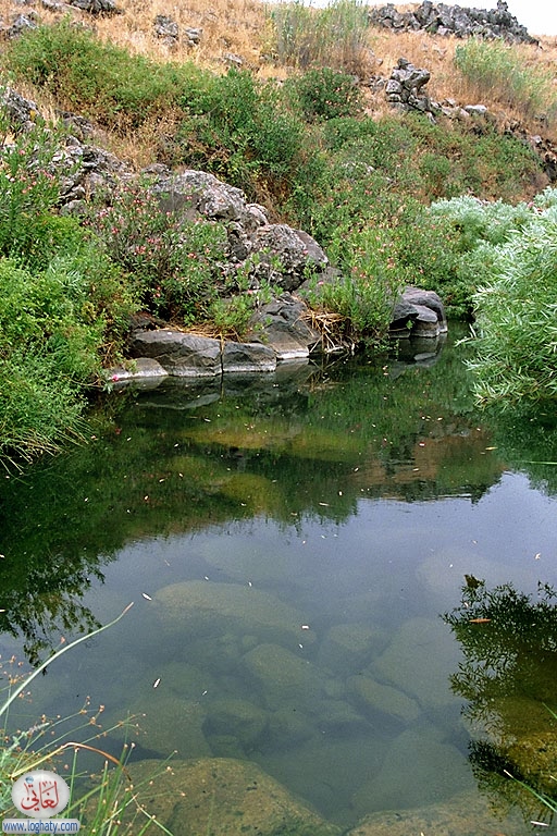 golan-pond