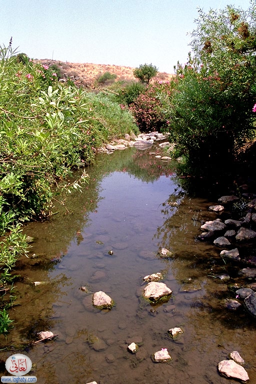 golan-stream