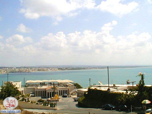mta3em-lataakia