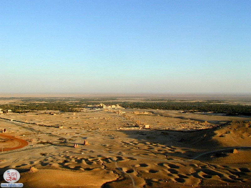 palmyra 2