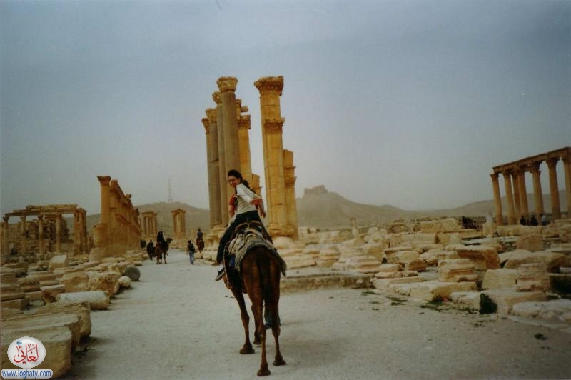palmyra 2 2