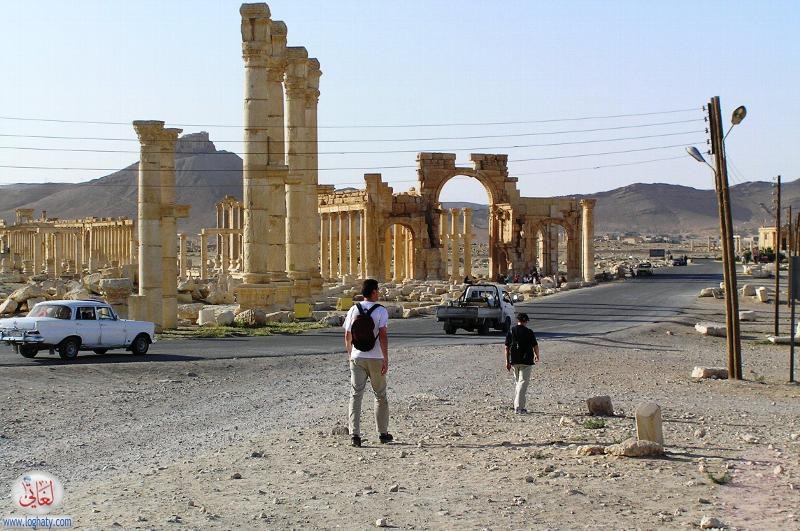 palmyra 3 2