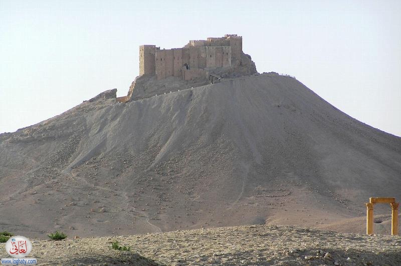 palmyra 4