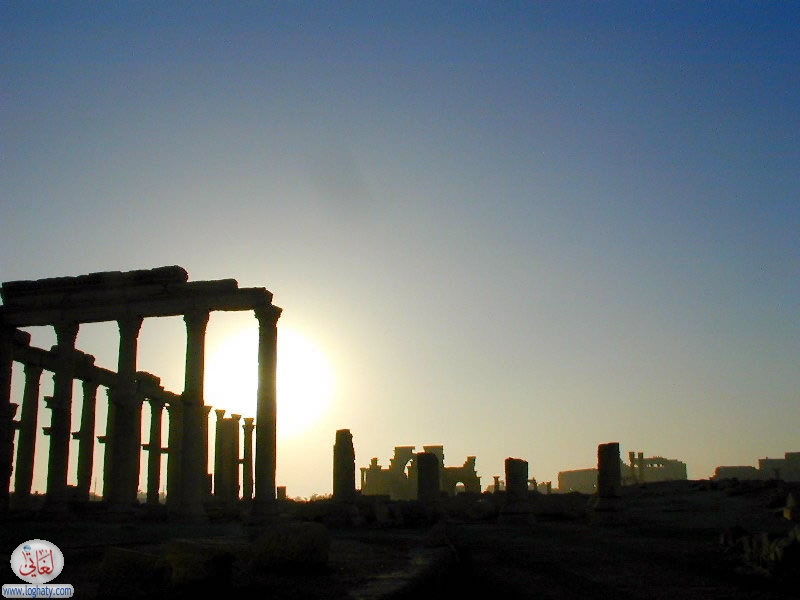 palymyra