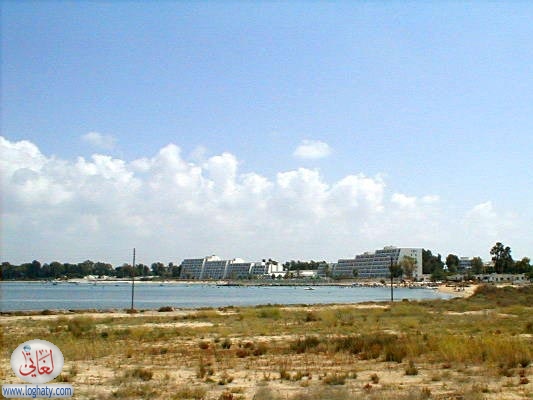 qaria-seahea
