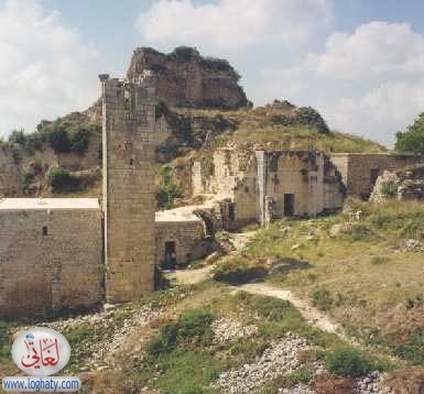 sala7-din