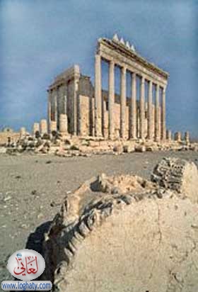tadmor 2