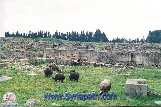 ugarit5