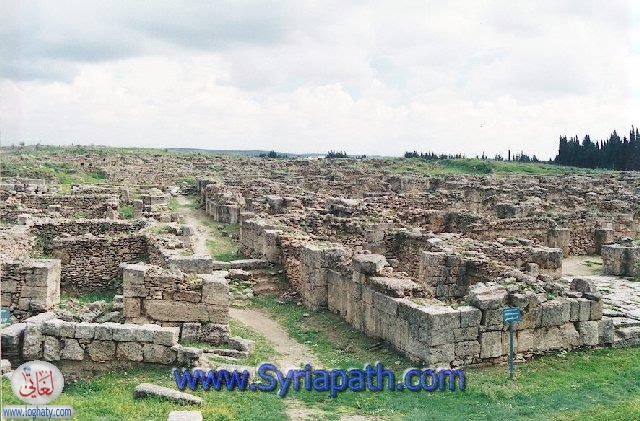 ugarit6