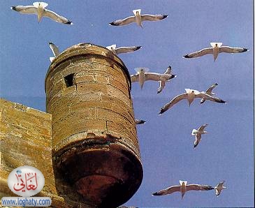 essaouira4