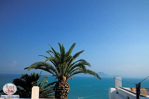 sidibousaid14