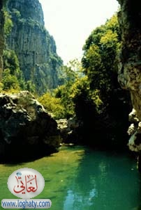 lebanon nature20