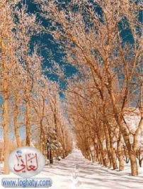 lebanon nature24