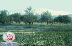 lebanon nature39
