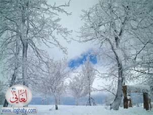 lebanon nature6