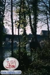 England-Oxfordshire-Oxford-river-bridge-trees-MY