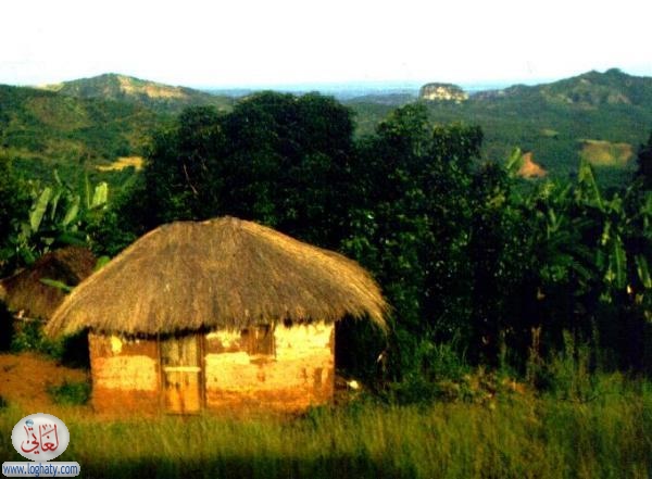hut