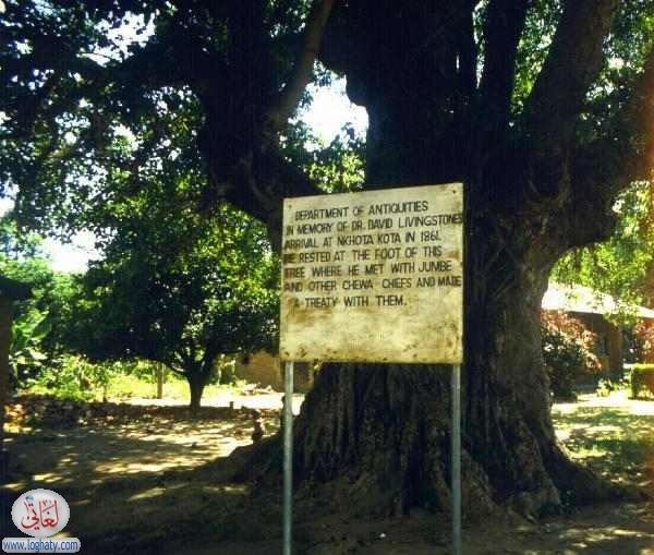livingstone