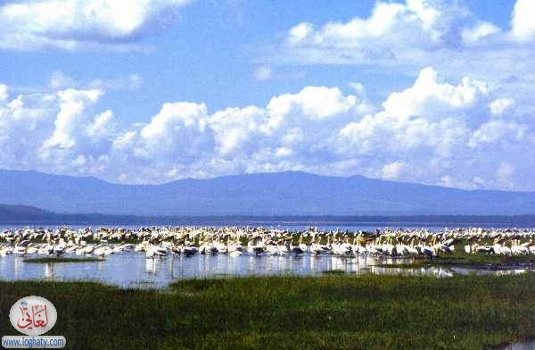 nakuru