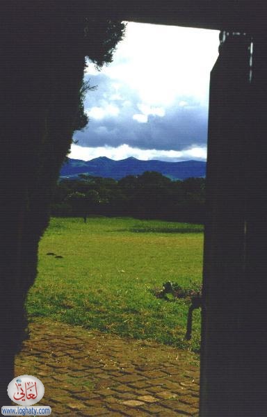 ngong
