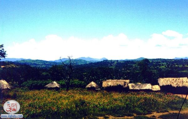 roadside