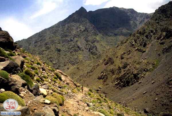 trail