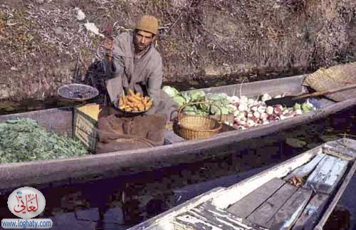 kashmiri boat