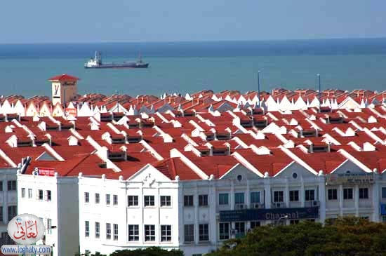 view from hill