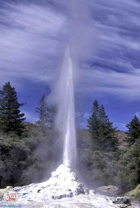 rotorua geyser