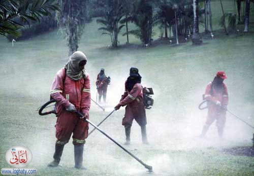 grass cutting