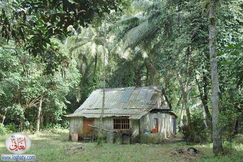 ubin house