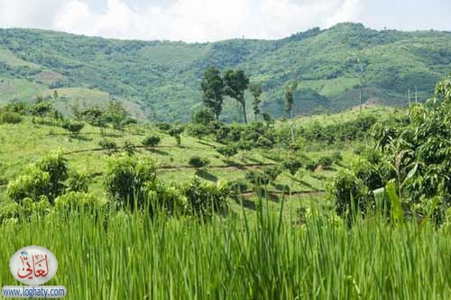 countryside