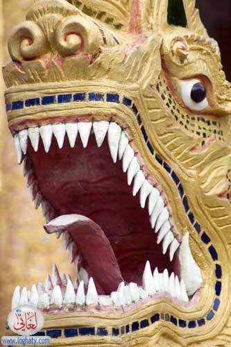 dragon