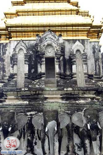 elephants