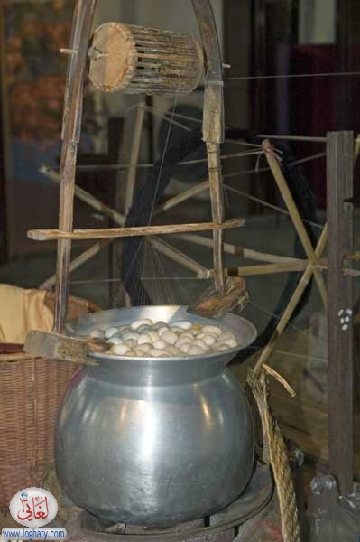 silk worm cocoons