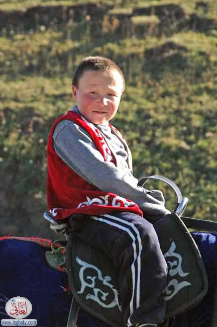 boy on horse