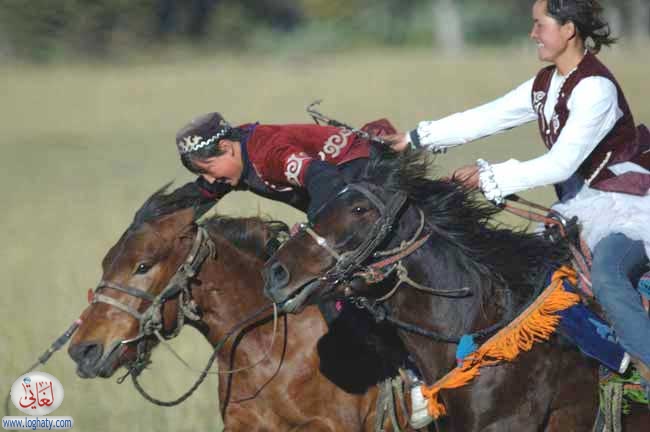 courtship ride