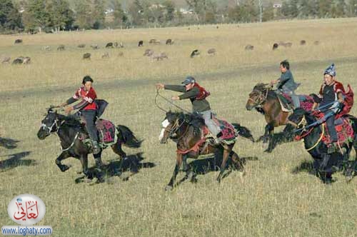 horse racing