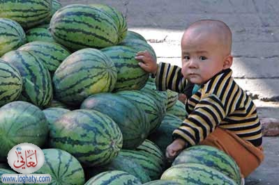 kid at market