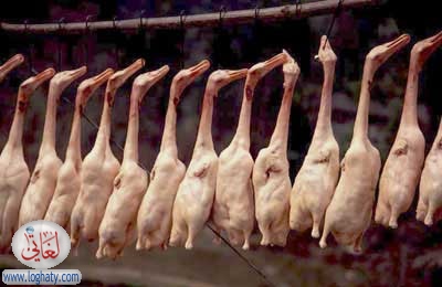 peking duck
