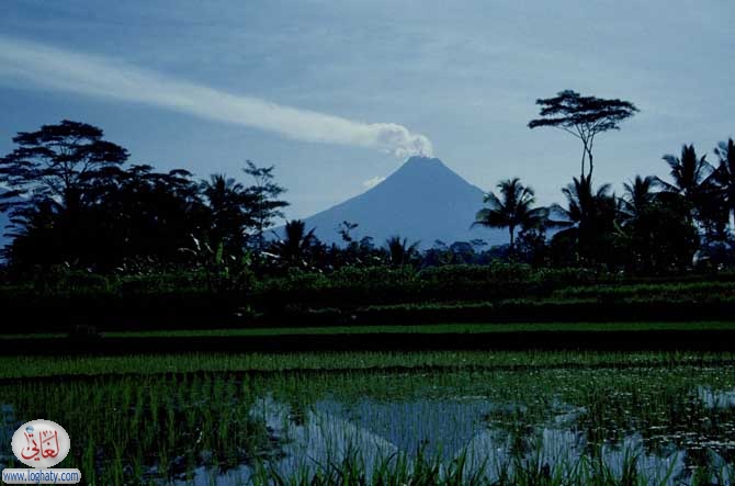 1volcano