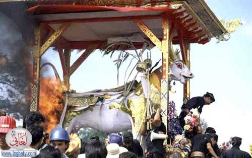 cremation