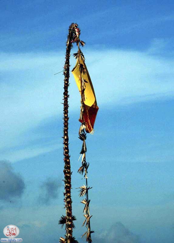 dragon rope