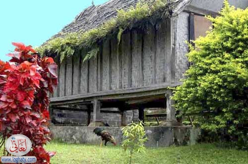 traditional village