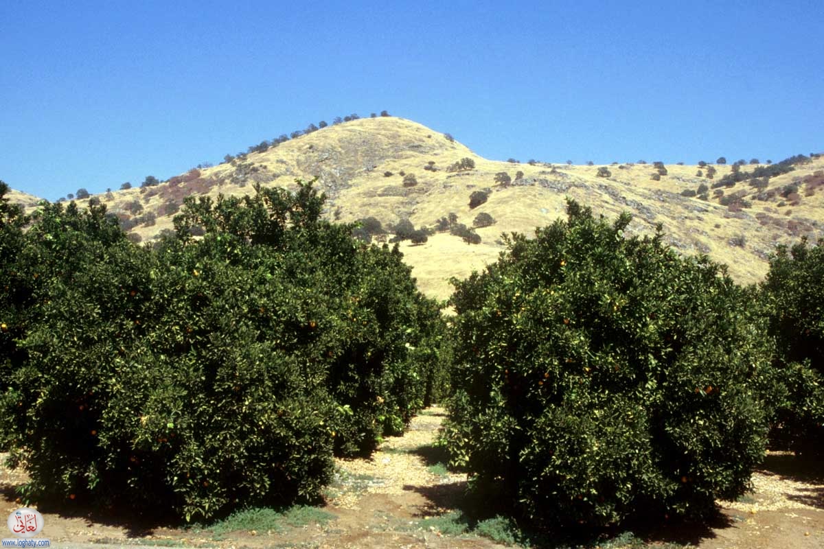 california-01