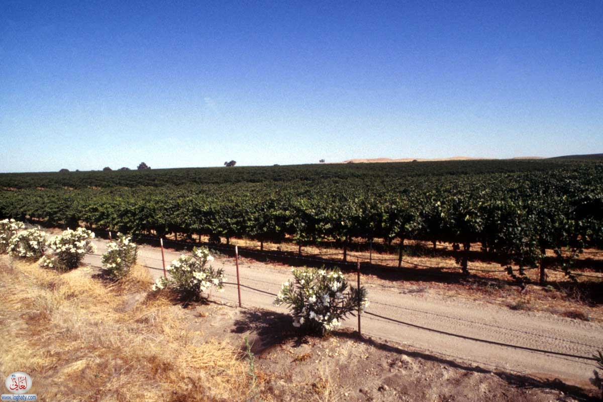 california-15