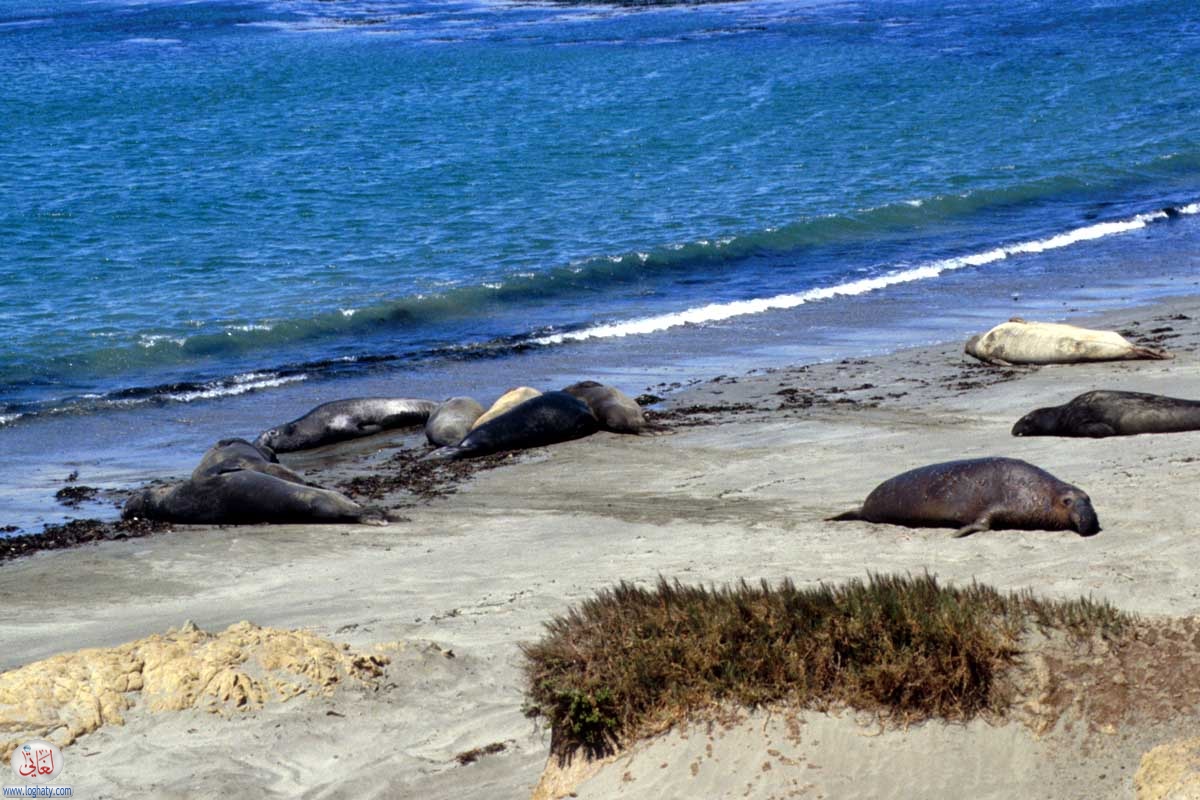 california-27
