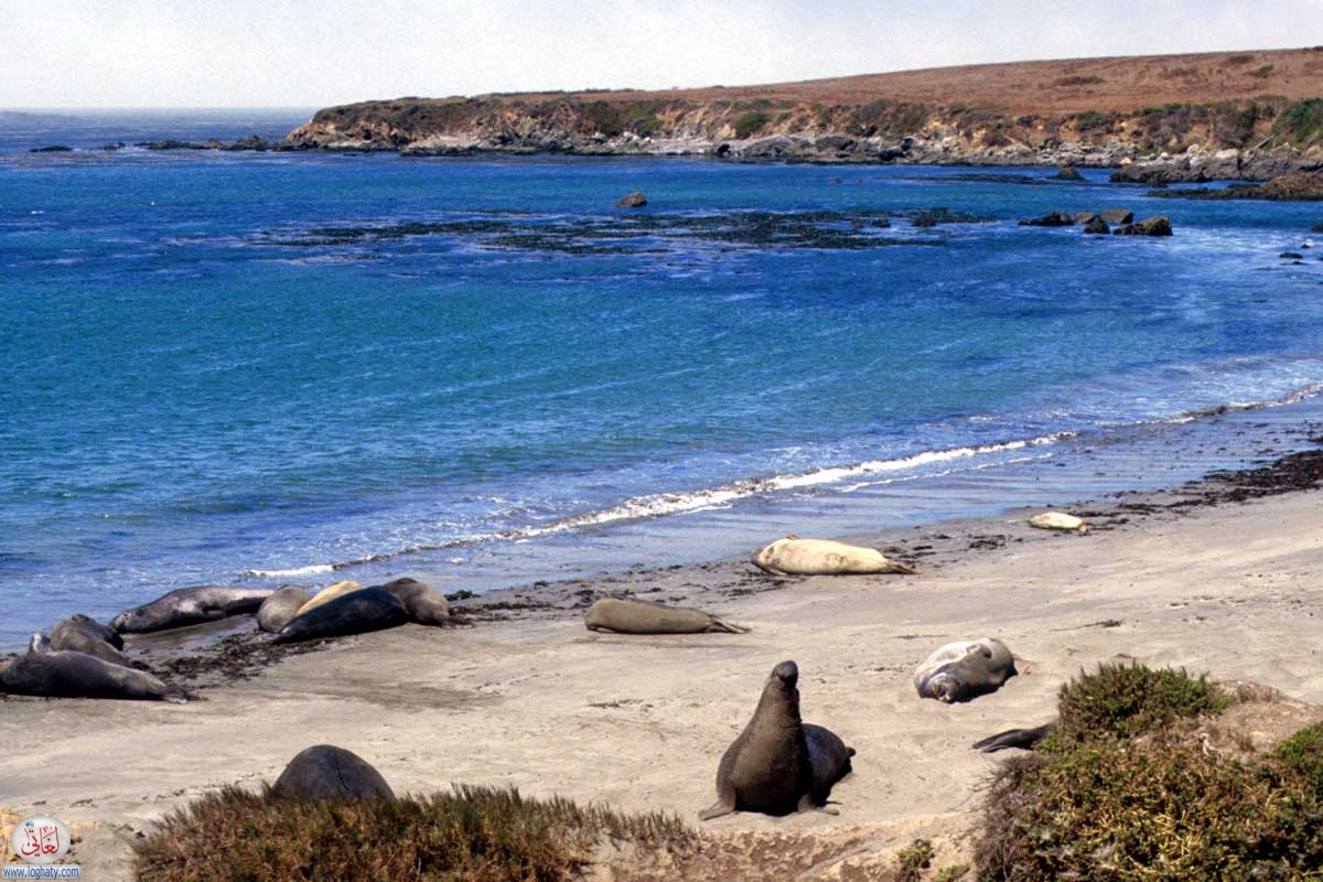 california-29